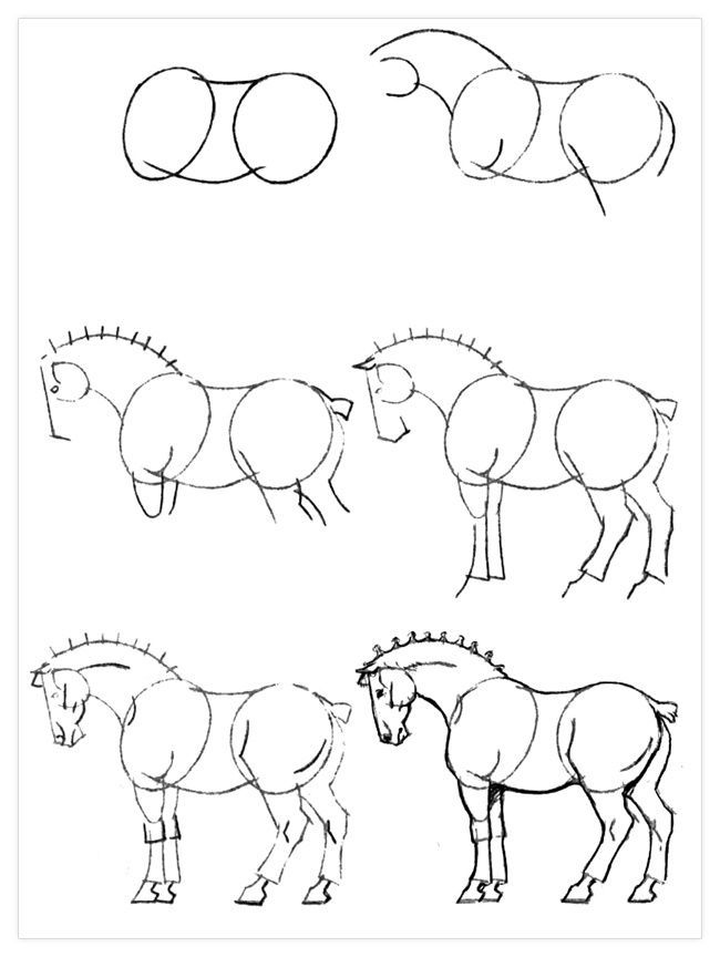 Desenho para Fazer - como desenhar um cavalo de frente Desenho para  iniciantes 