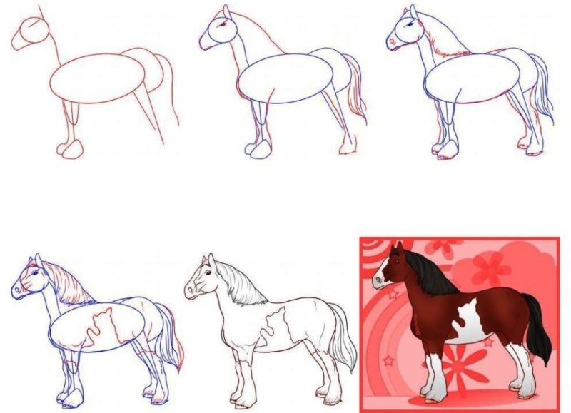 Como desenhar um cavalo (74 fotos): instruções passo a passo com